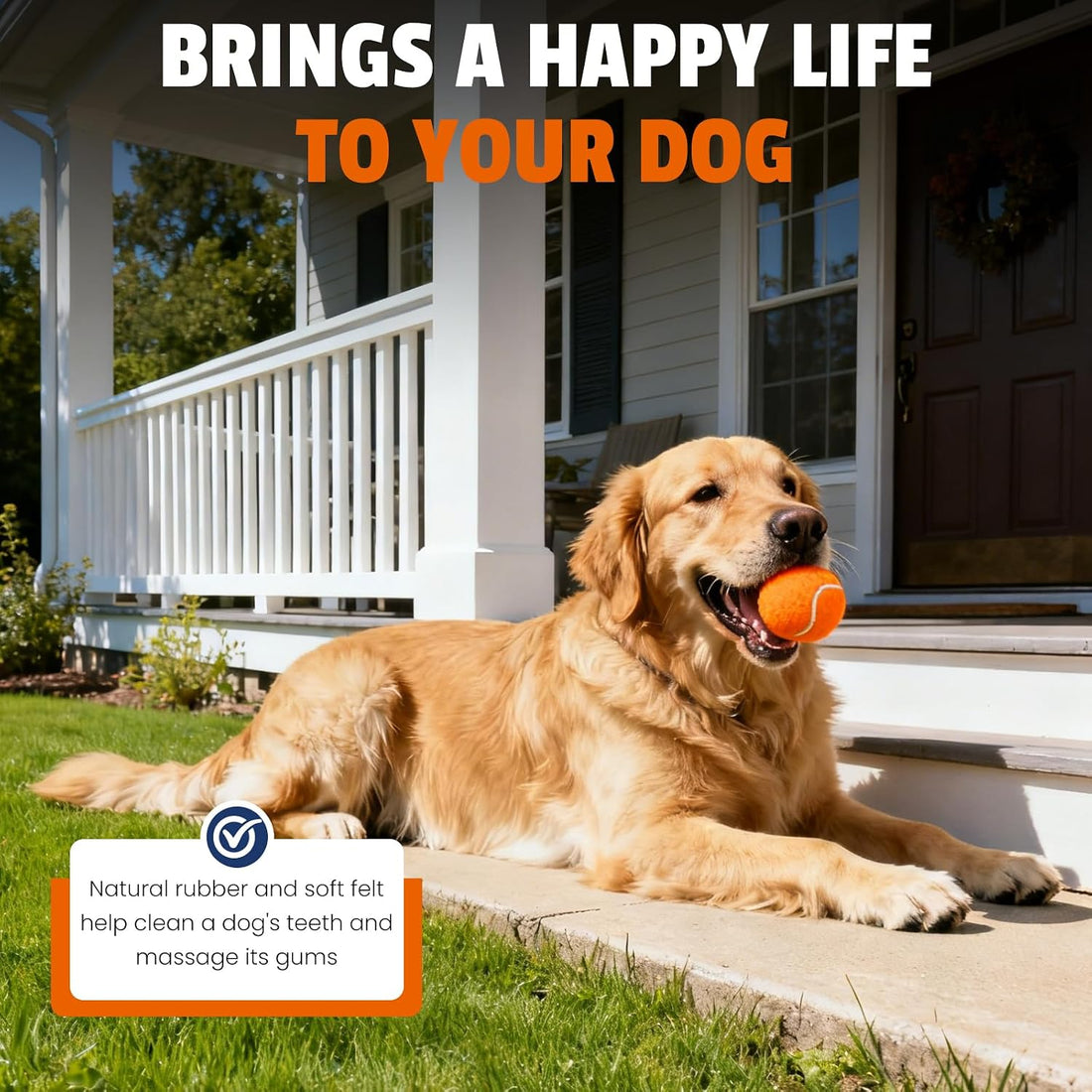 FURWEY Tennis Balls for Dogs 16 Pack,2.5 inches,Durable and Non-Toxic