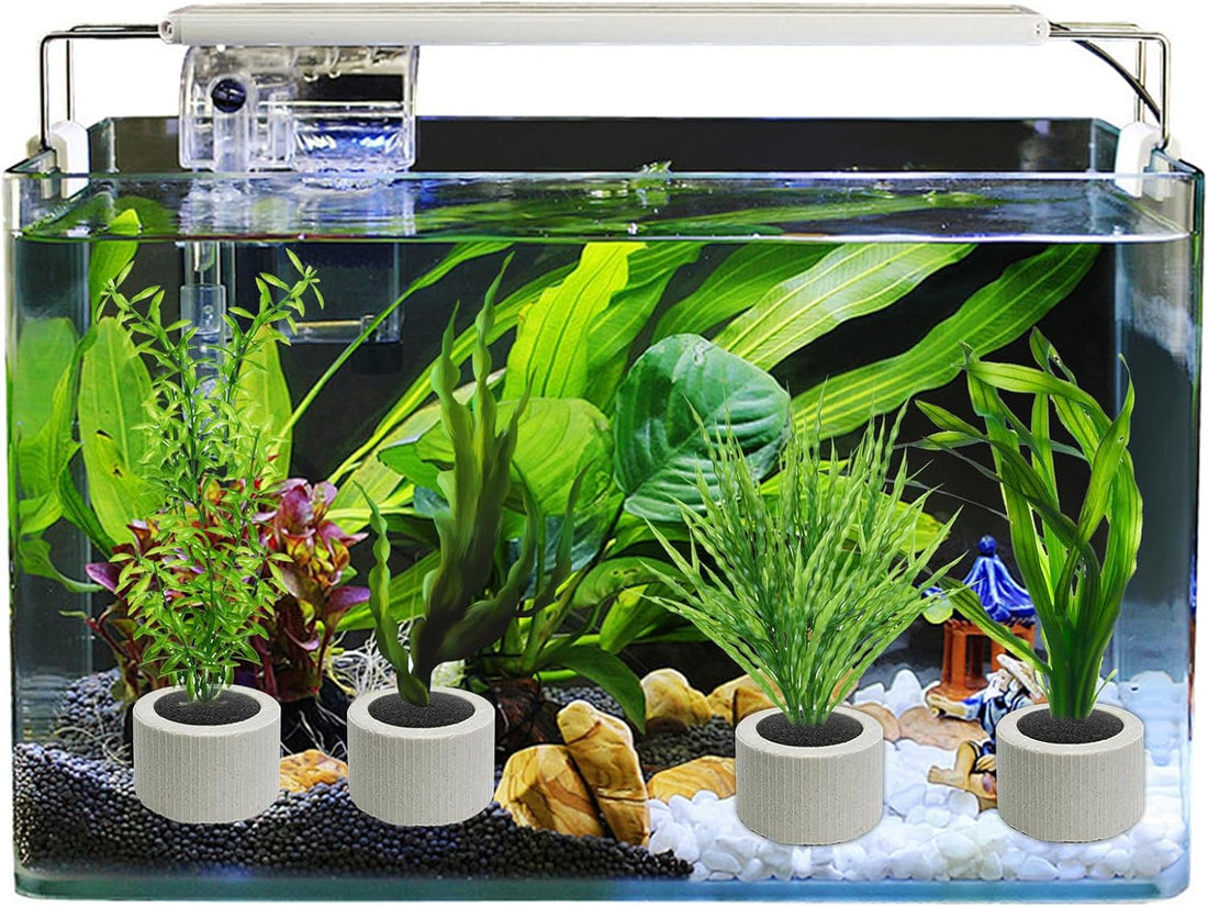 12 PCS Aquarium Plant Weight Ceramic Ring with Black Sponge
