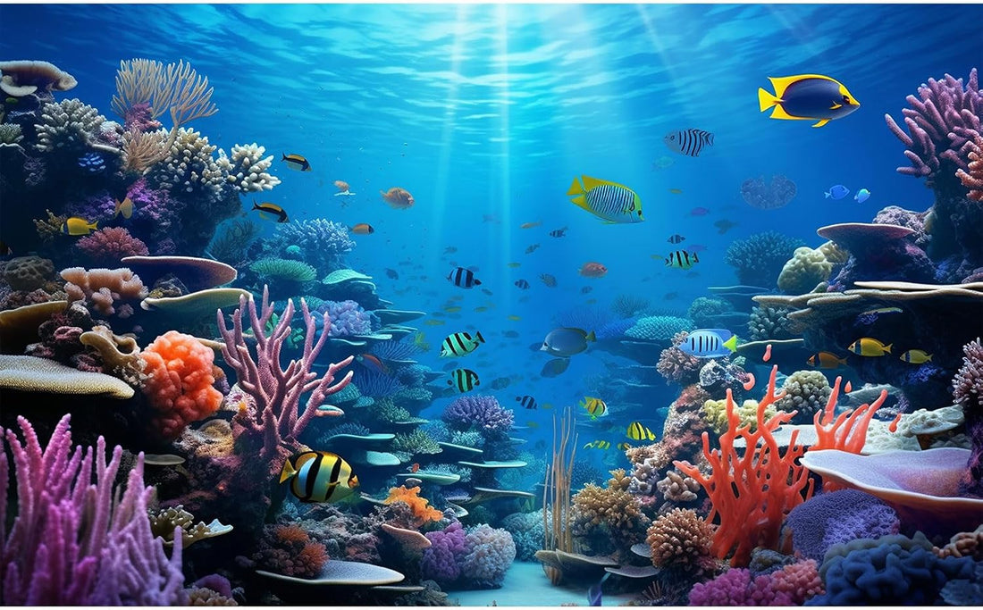 Underwater Aquarium Background Coral Reef Tropical Fish Terrarium