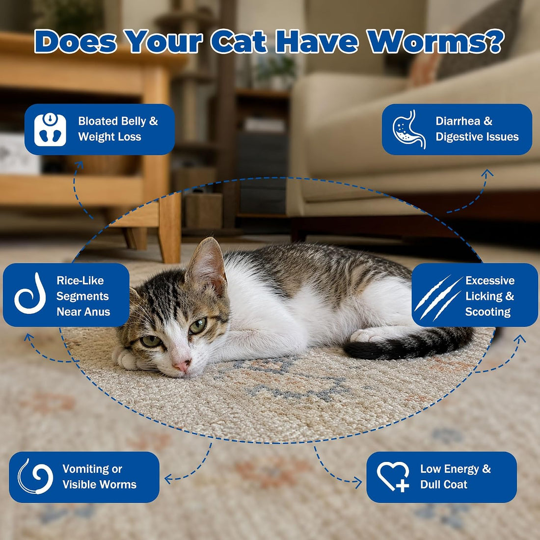 Broad-Spectrum Dewormer - Tablets for Cats & Dogs