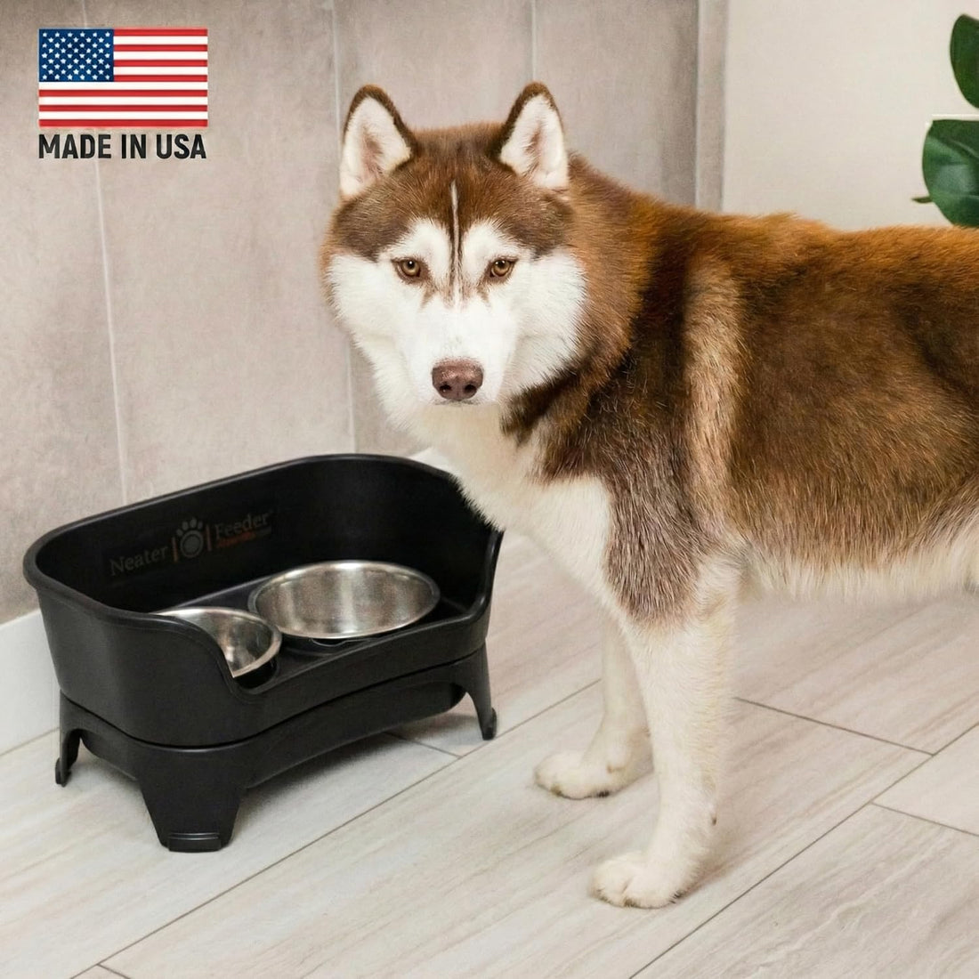 Neater Feeder Express Mess Proof Dog Bowls Elevated for Medium