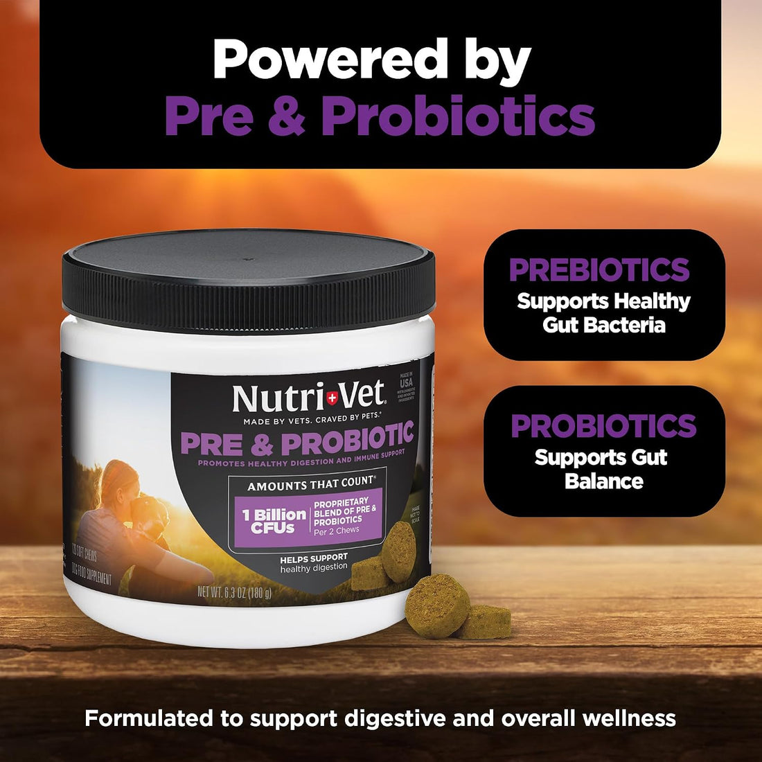 Nutri-Vet Pre & Probiotics for Dogs, Digestive Support, Upset Stomach