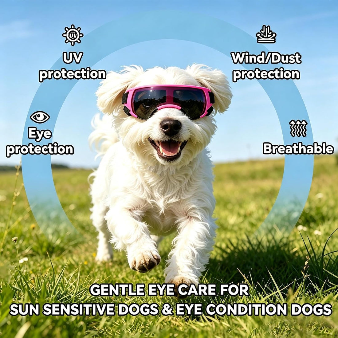 ENJOYING Dog Sunglasses Small Breed