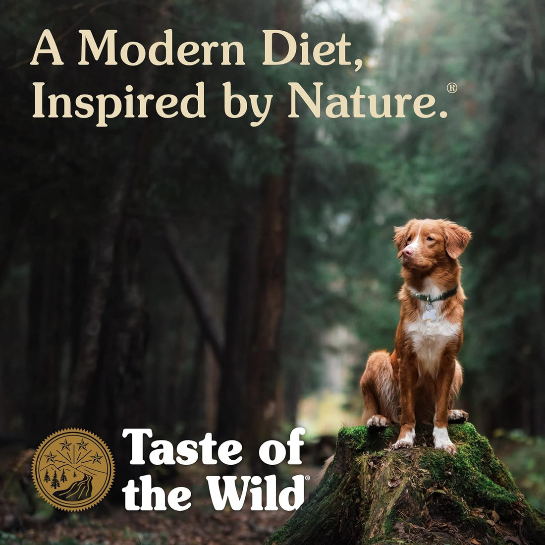 Taste of the Wild Pacific Stream Canine Recipe with Salmon in Gravy