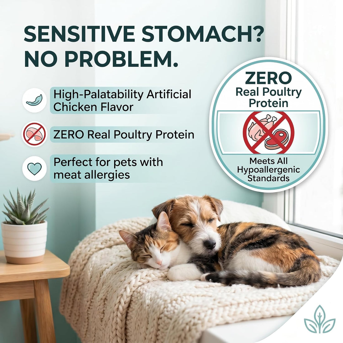 Dewormer for Dogs and Cats - Fenbendazole Tablet Broad Spectrum (50