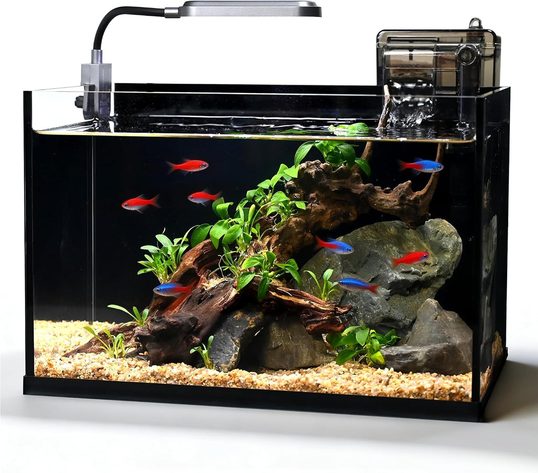 2.8 Gallon Glass Fish Tank,Small Fish Tank with Light and Filter