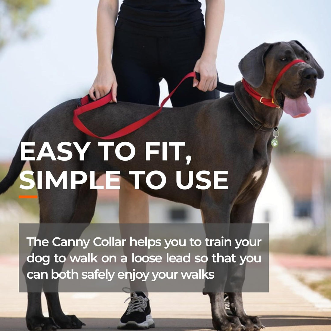 Canny Gentle No-Pull Dog Training Head Collar to Stop Pulling Black