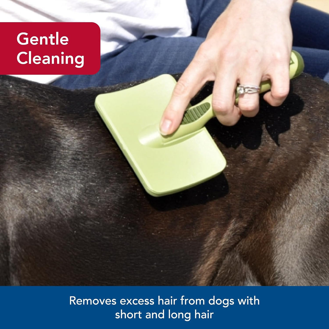 Coastal Pet Safari Dog Soft Slicker Brush