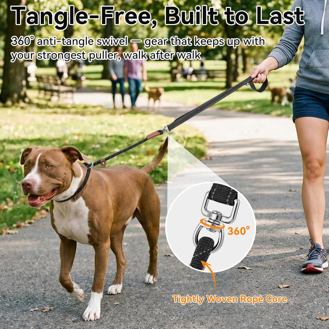 Joytale Slip Lead Dog Leash with Dual Handle, No Pull, Black