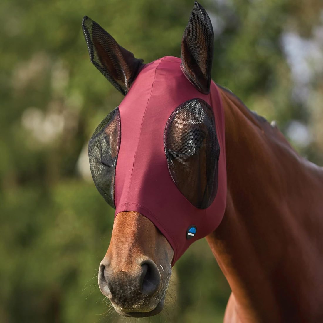 WeatherBeeta ComFiTec Stretch Fly Mask with Ears, Navy/Black, Large