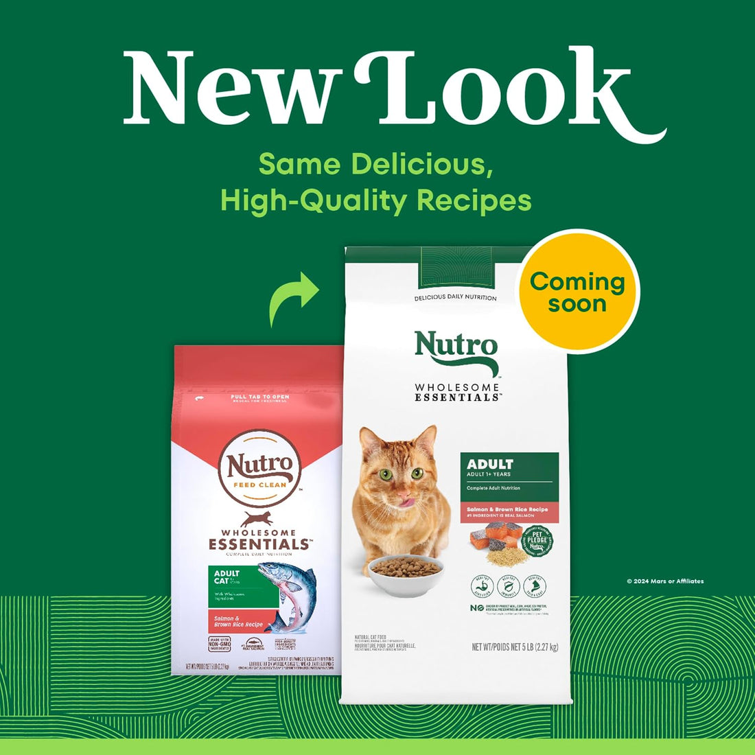 Nutro Wholesome Essentials Adult Dry Cat Food, Salmon & Brown Rice
