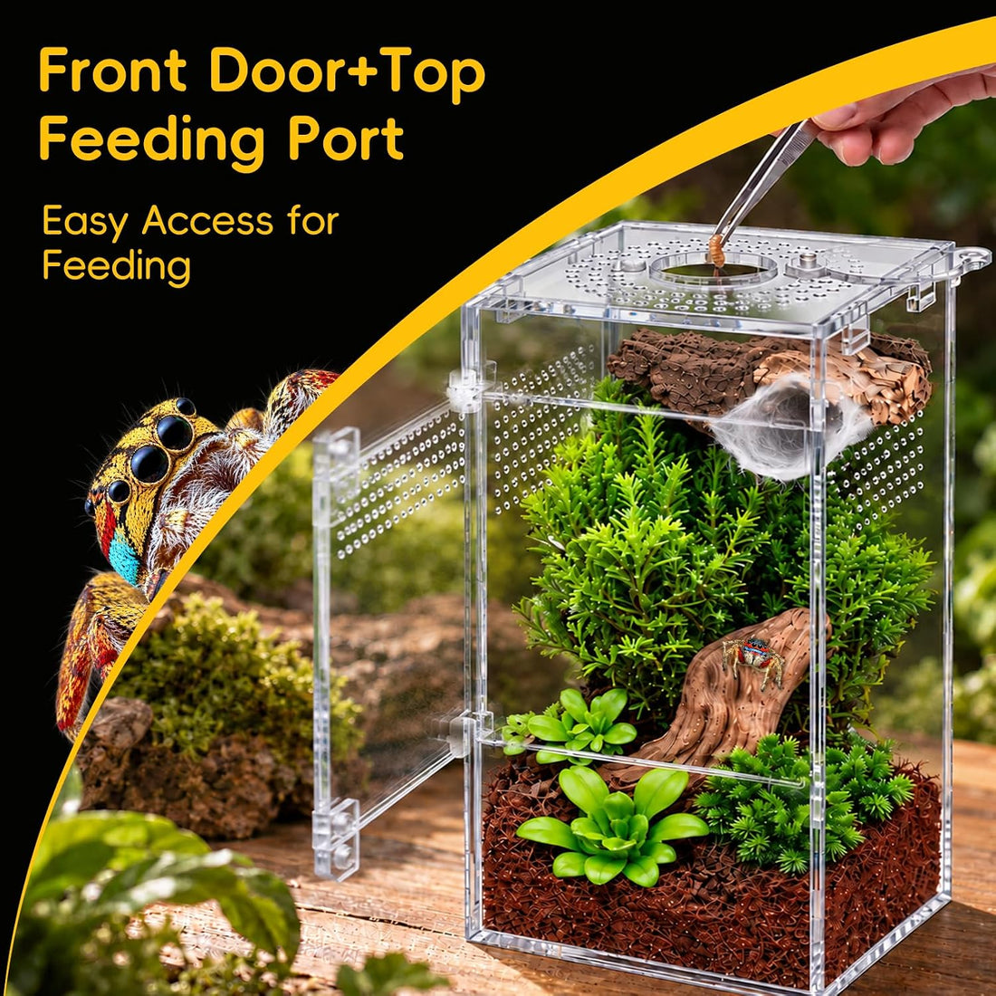 3''x3'‘x6'' Jumping Spider Enclosure Kit,Pre-Assembled PC Terrarium