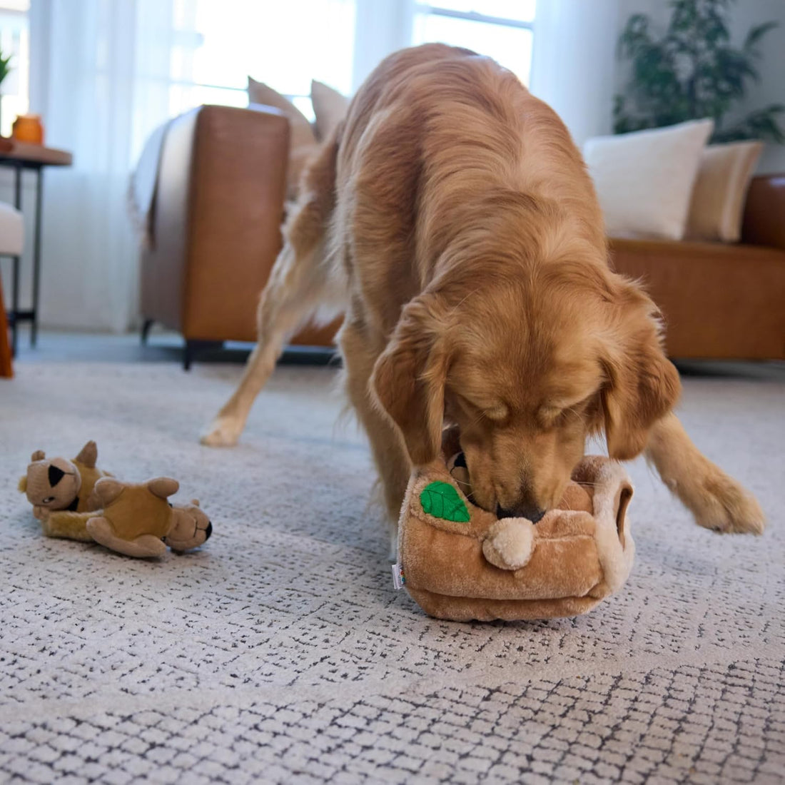 Outward Hound Hide-A-Squirrel Plush Squeaky Dog Toy, Large