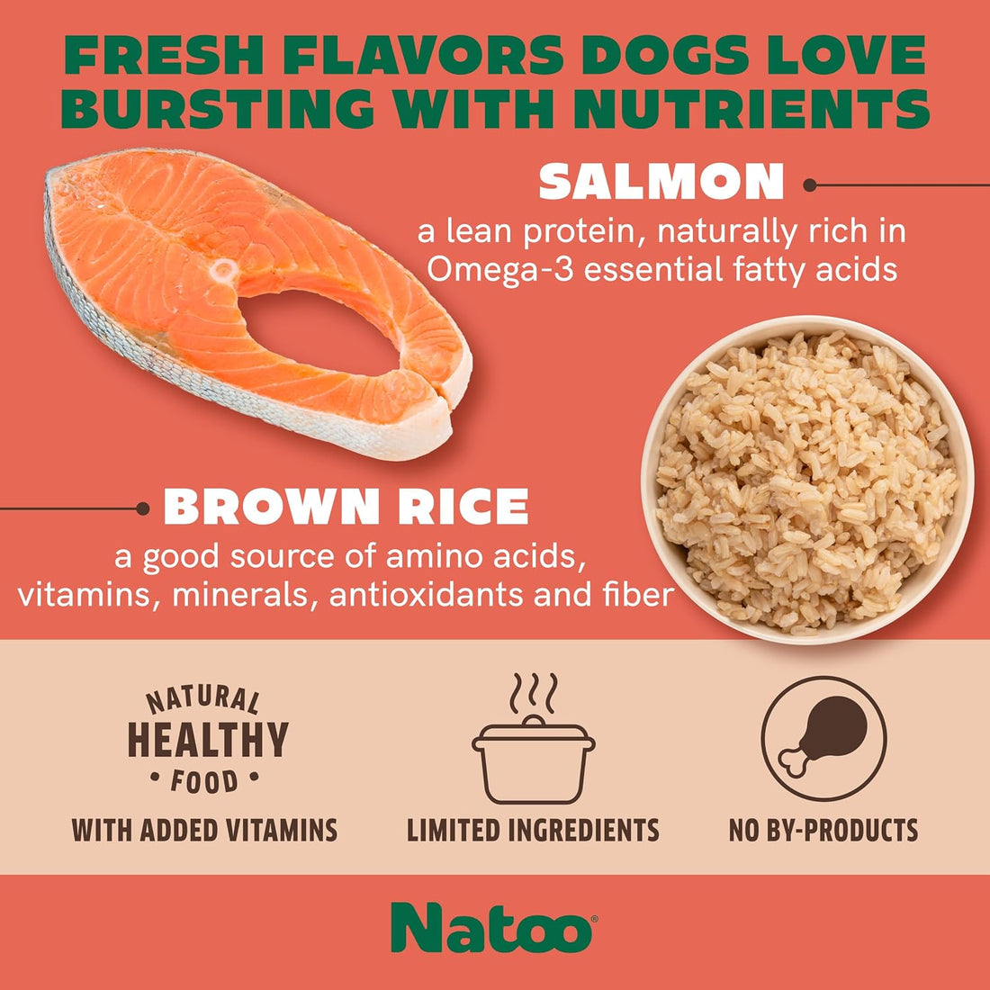 NATOO Dog Food Topper, Salmon with Brown Rice, 3 oz, Case of 20