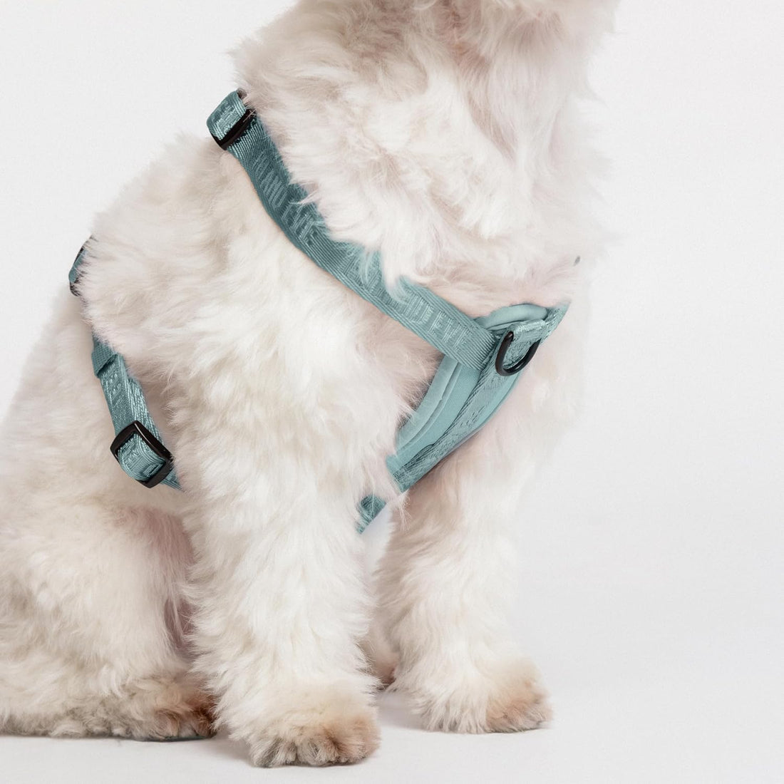 Fei & Eve Moxie Dog Harness for Small & Medium Dogs