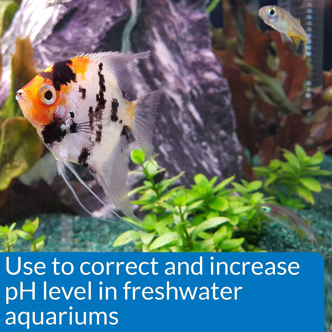 API pH UP Freshwater Aquarium Water pH Raising Solution