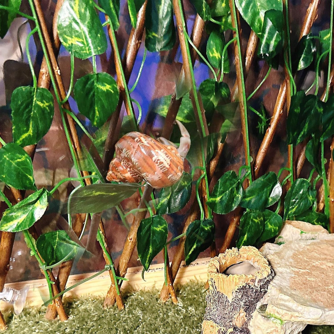 Reptile Hermit Crab Climbing Wall Toy Bearded Dragon Climb Tank