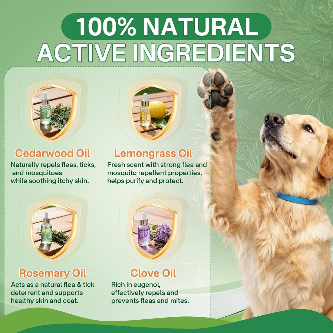 Puyrzoe Flea and Tick Prevention for Dogs, 4 Pack Flea Collar for Dogs