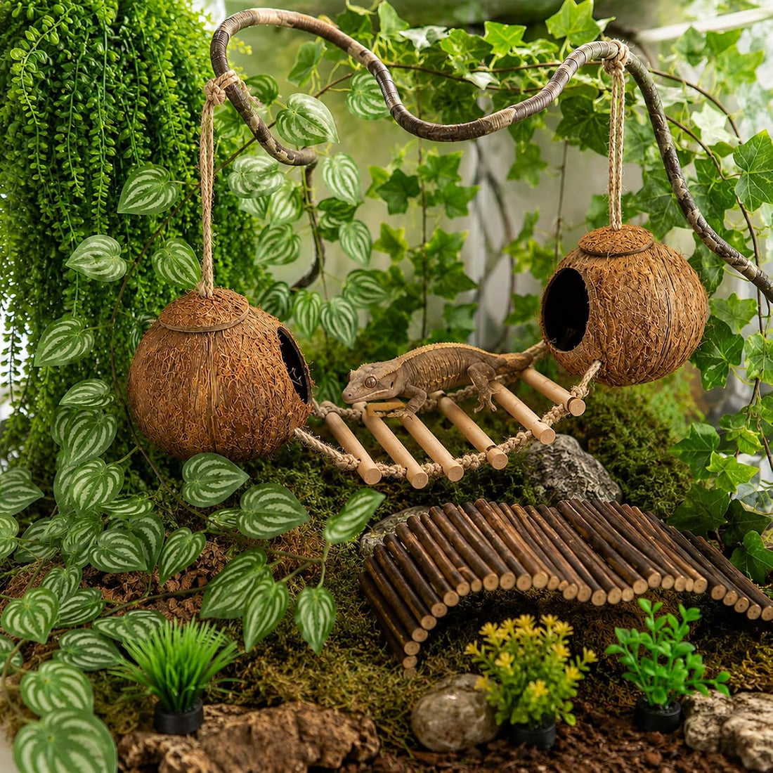 RUNANIA Crested Gecko Tank Accessories,Reptile Vines Plants