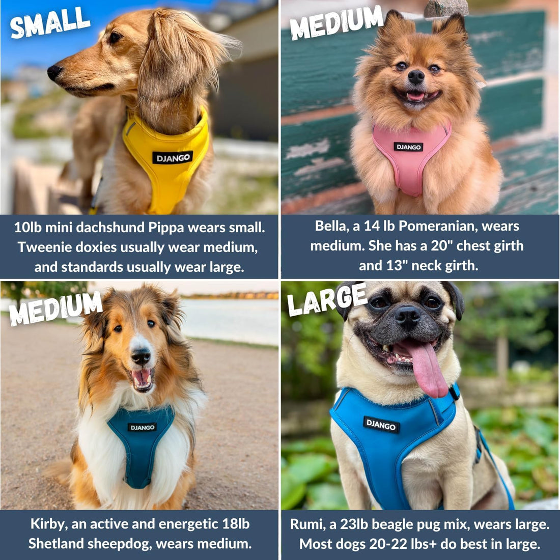 DJANGO Adventure Dog Harness