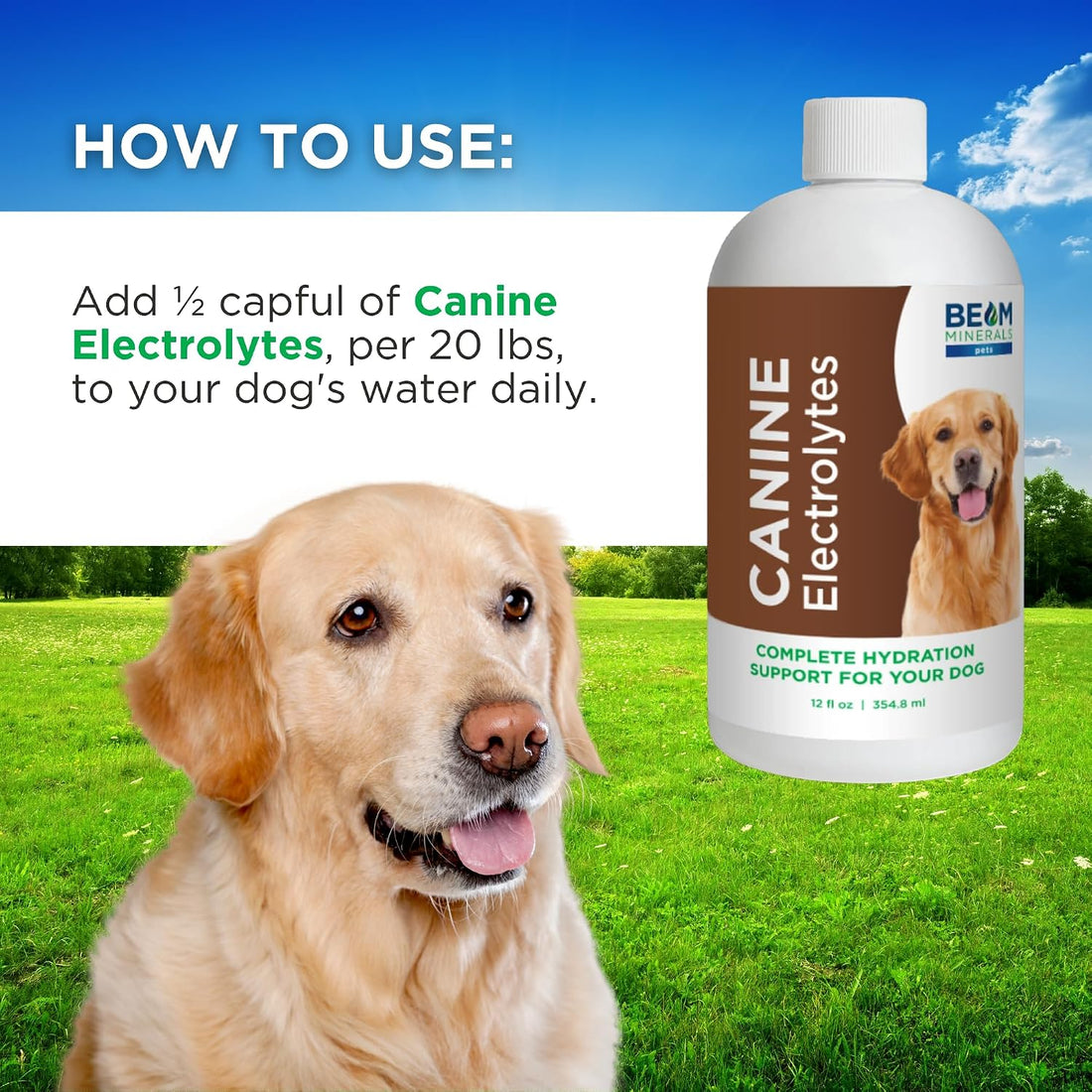 BEAM Minerals Advanced Canine Mineral and Electrolyte Replenishment
