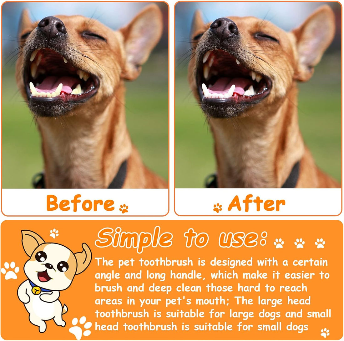 Honeydak Dog Toothbrush Bulk Dual Headed Dental Brushes Dogs Tooth