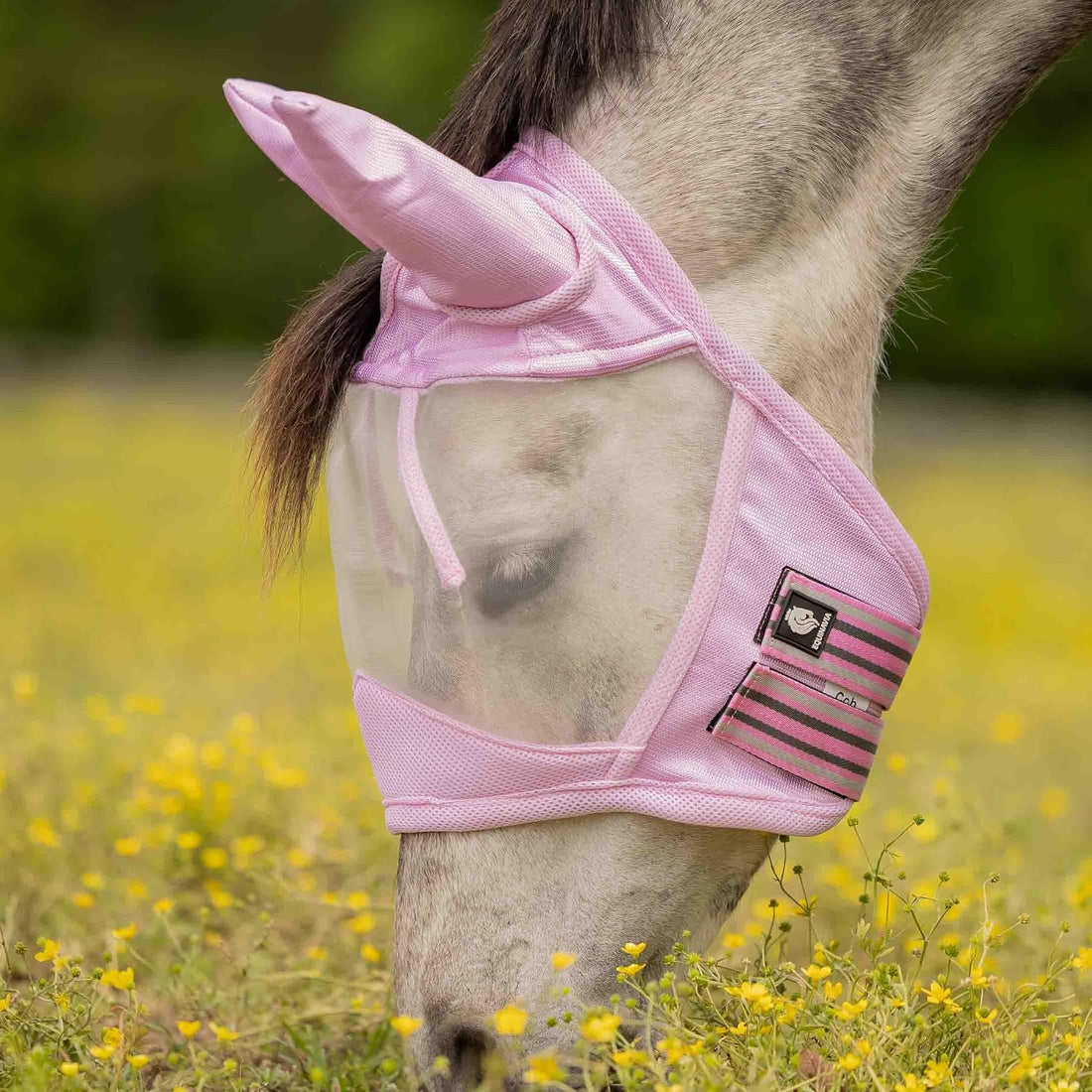 Equinavia Algard Soft Mesh Horse Fly Mask with Ears