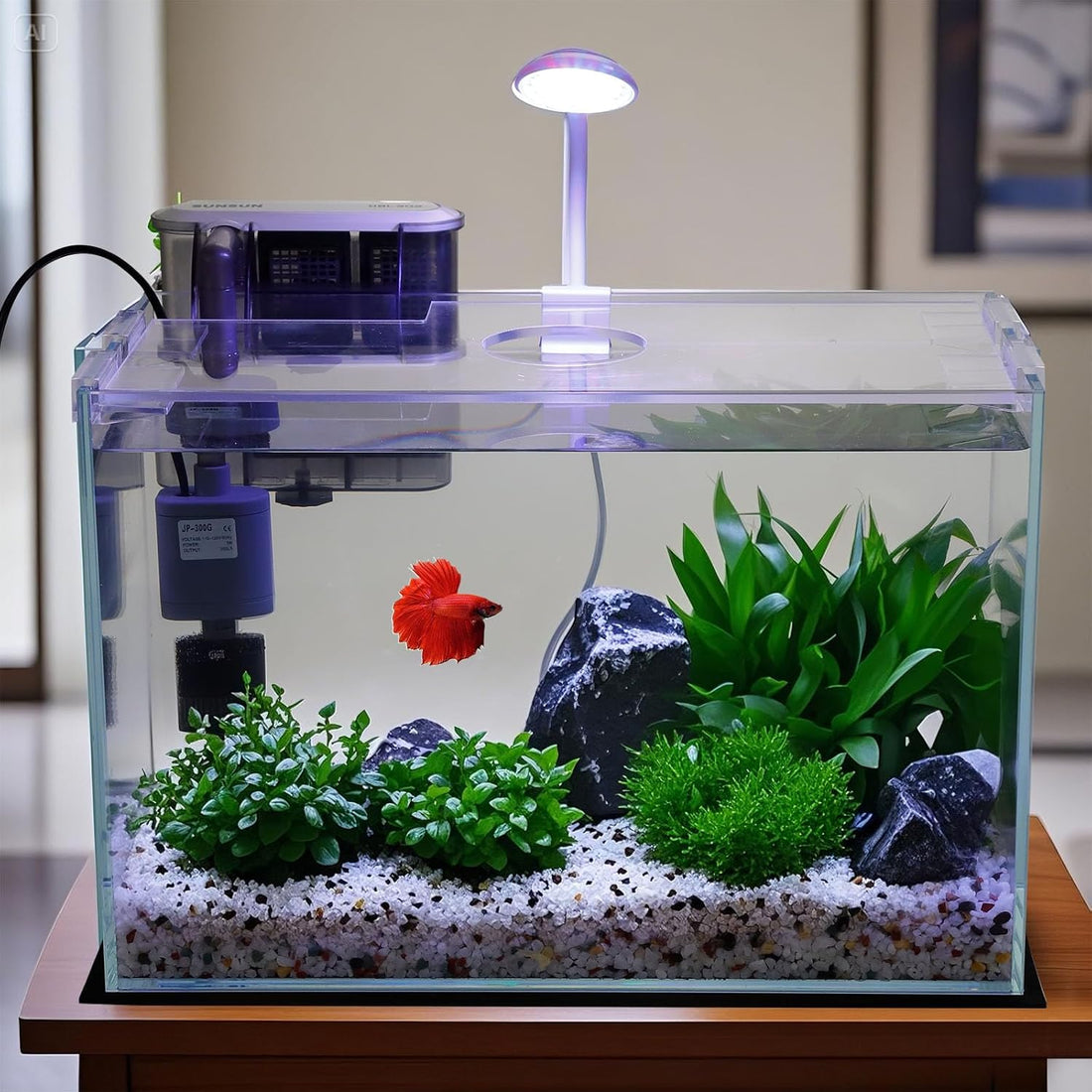 Vimvins 3 Gallon Glass Small Fish Tank
