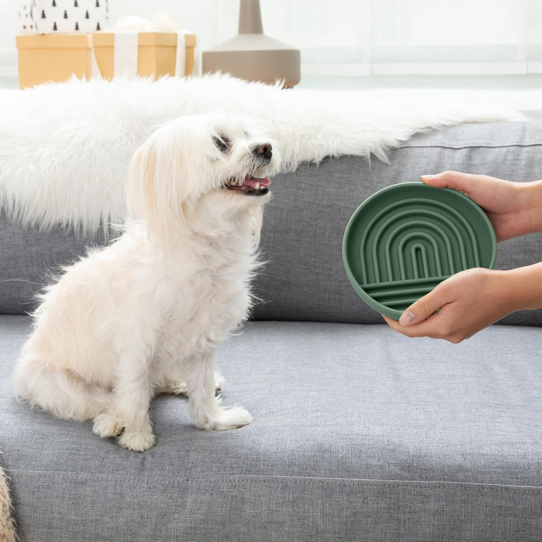Slow Feeder Dog Bowl - Silicone Dog Bowl, Small, 6" x 1.25"