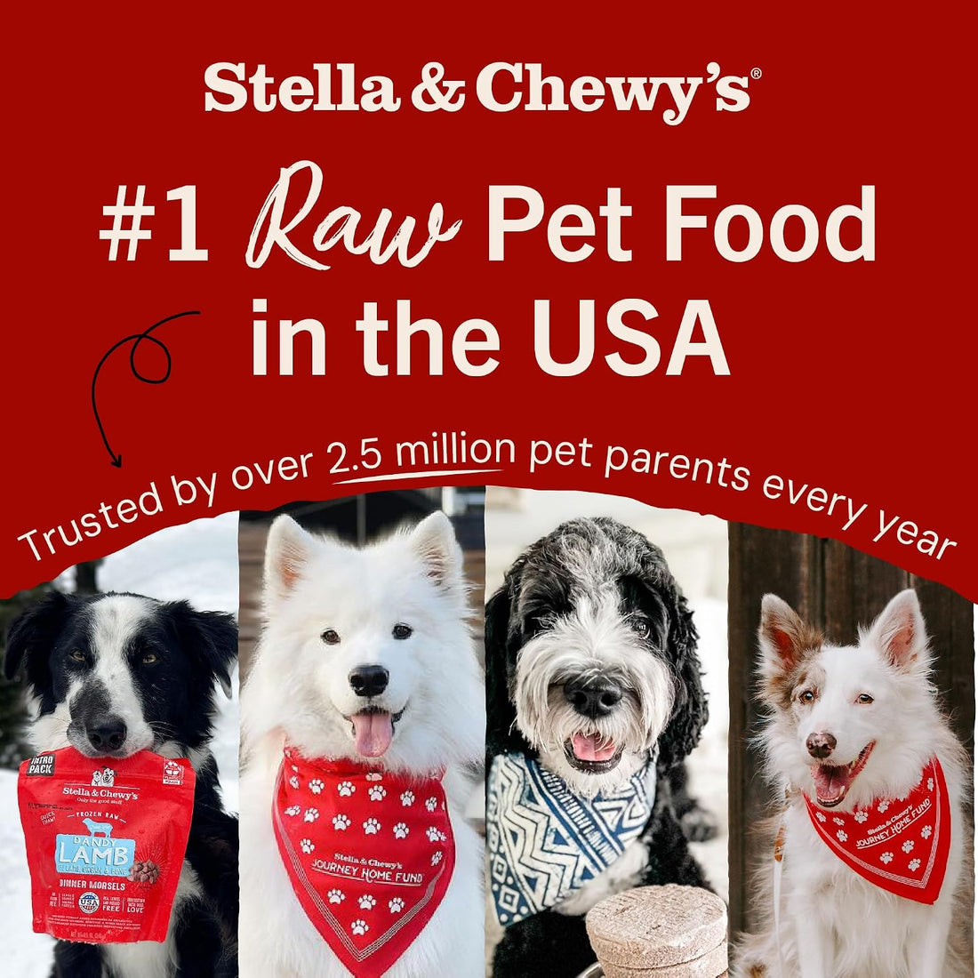 Stella & Chewy's Freeze-Dried Raw Meal Mixers