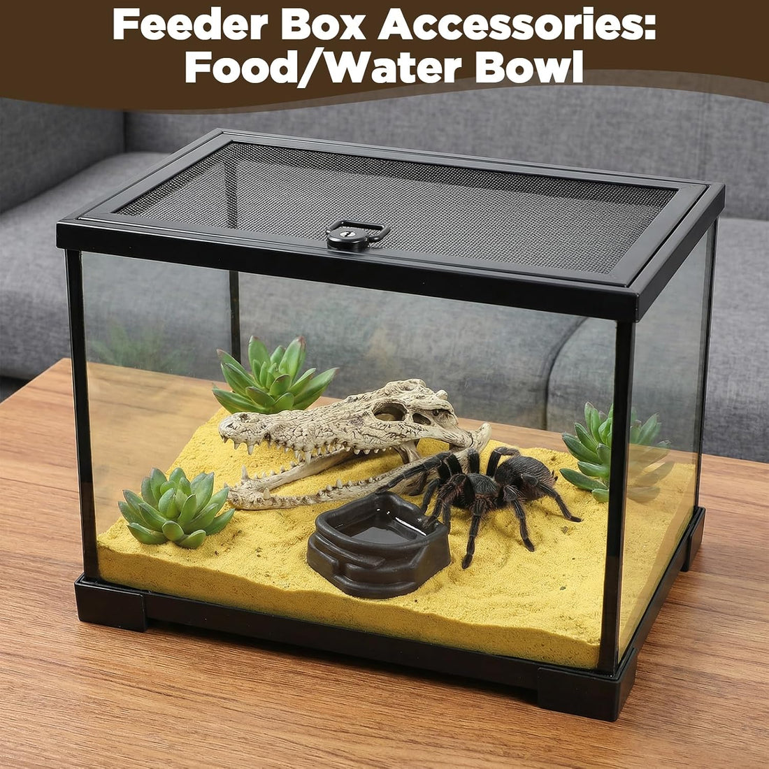 6 Pcs Spider Micro Water Bowls, Tarantula Enclosure Accessories