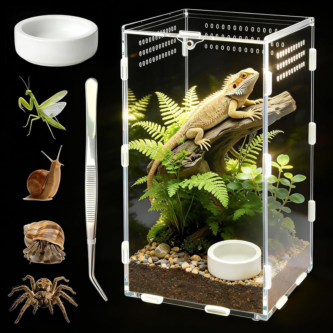 Jumping Spider Enclosure, House-Shaped Acrylic Habitat, Magnetic Door
