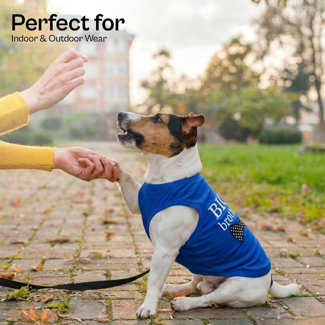 Parisian Pet Dog Shirt – 100% Cotton Shirts for Large Dogs