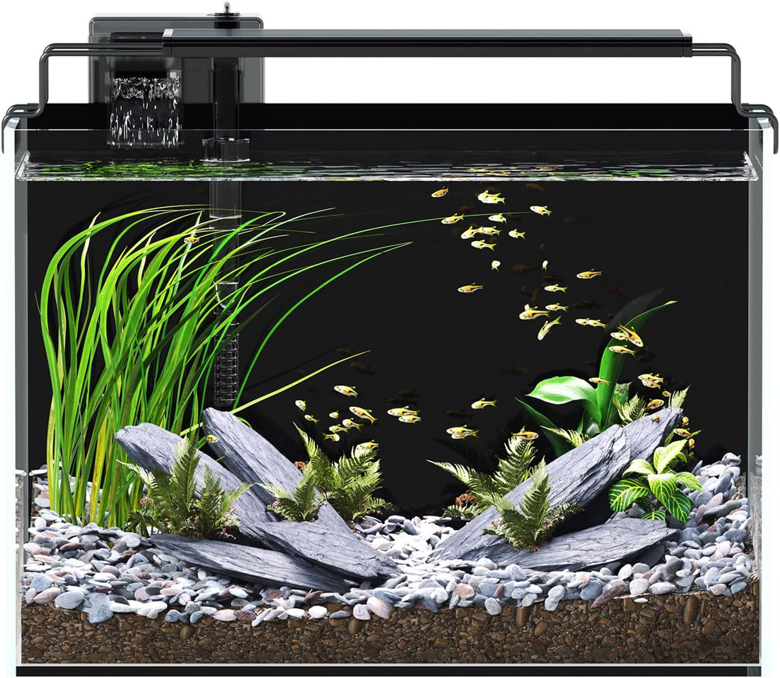 5 Gallon Fish Tank Aquarium Starter Kit with Filter Light Lid Rimless