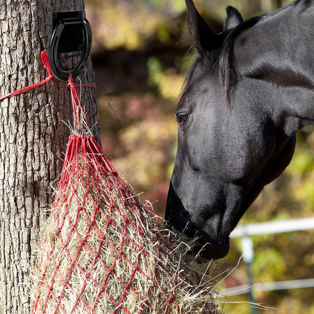 Zhengmy 2 Set Heavy-Duty Tie Ring for Horses with 8 Expansion