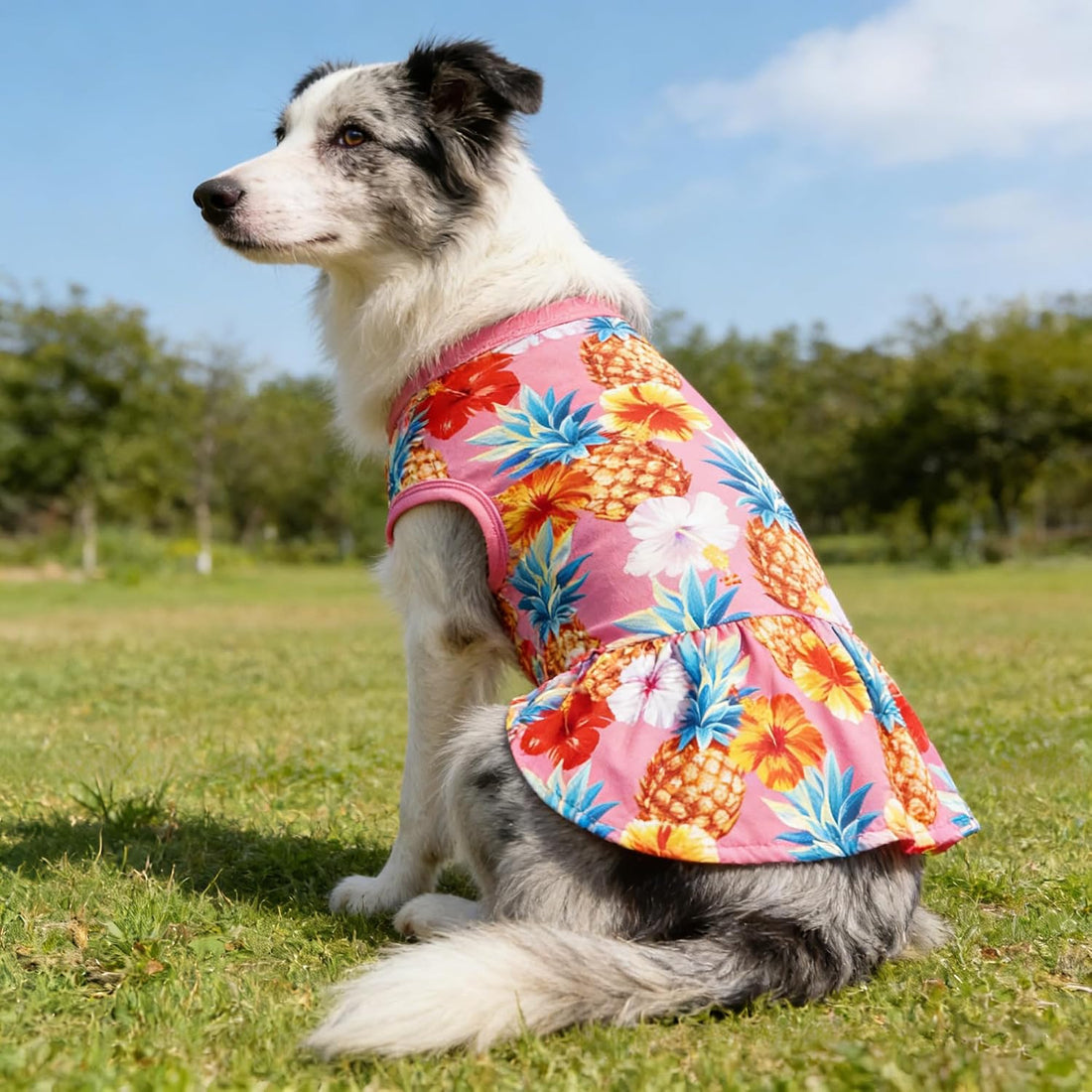 JpGdn 2PCS/Pack Hawaiian Dog Dresses Pink Green for Medium Dogs Girl