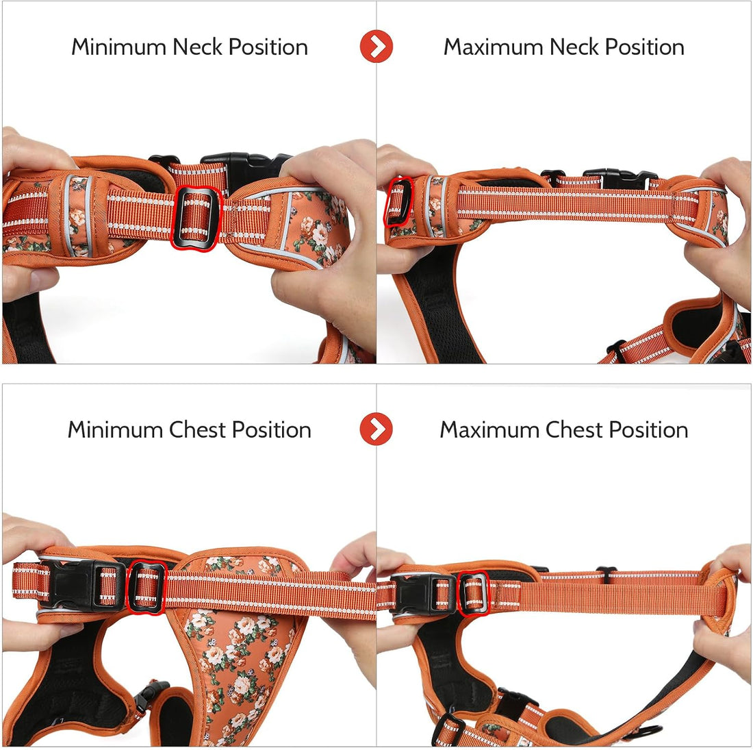 Timos Dog Harness, No Pull Large Sized with 3 Buckles, Flower Orange