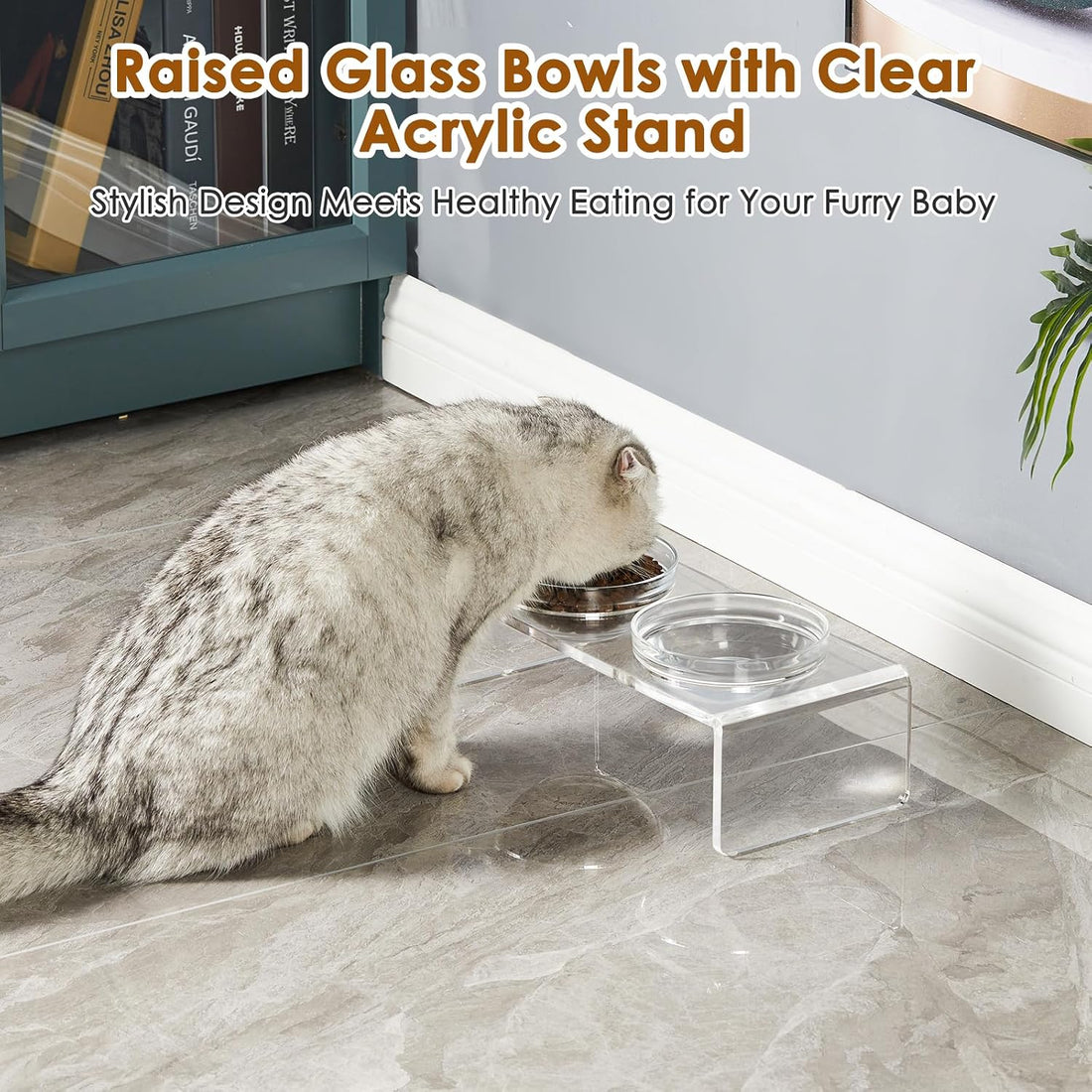 Feoyoho Elevated Acrylic Pet Bowl Stand