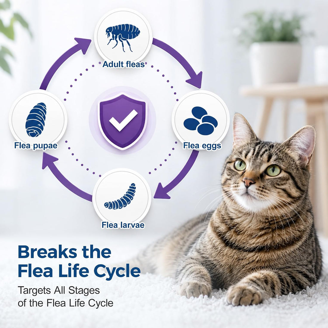 Topical Flea and Tick for Cats & Kitten Over 1.5 lbs and 8 Weeks
