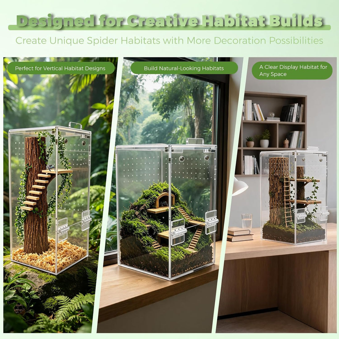 Jumping Spider Enclosure 4" x 4" x 8" Acrylic Habitat Kit