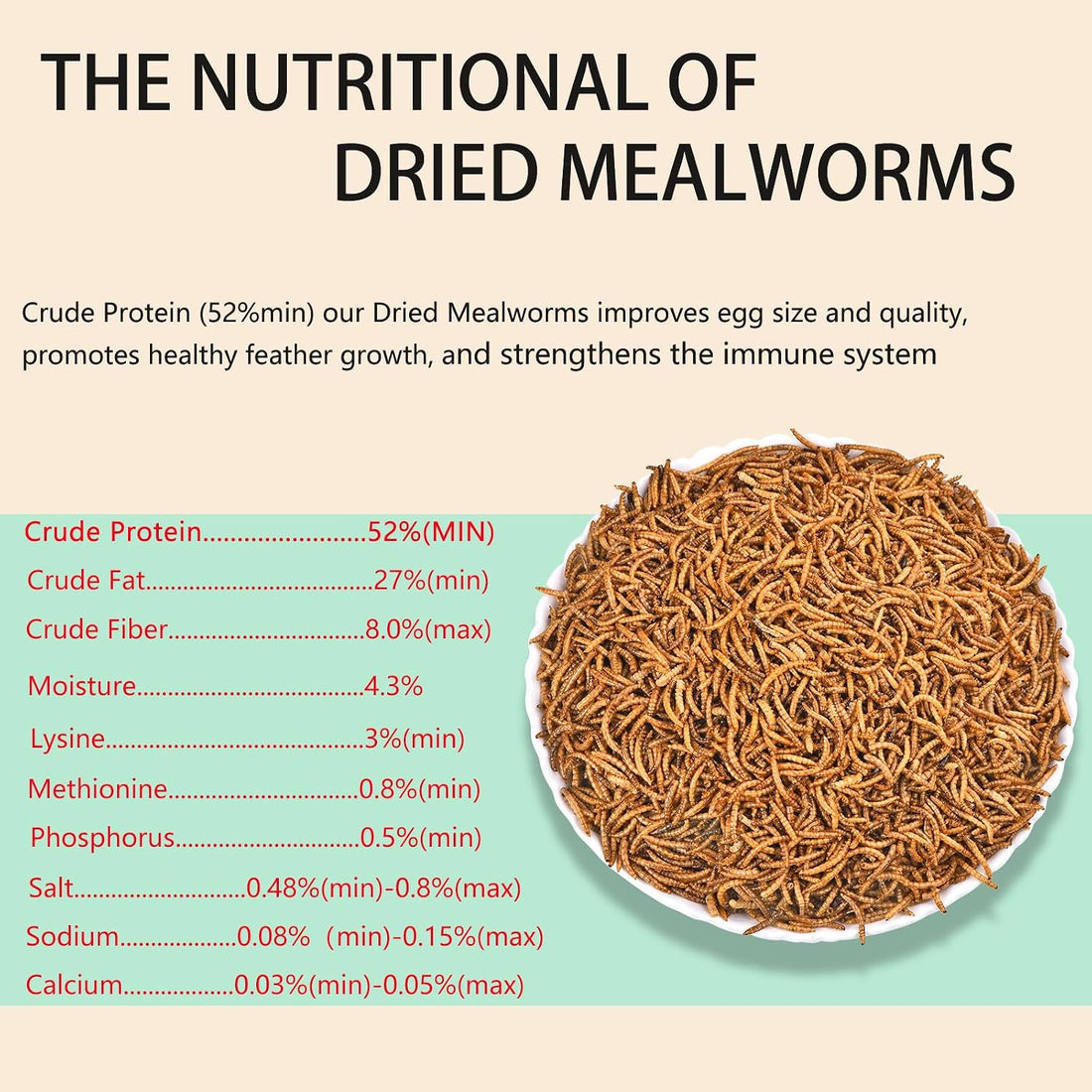 FCI GRUBS Dried Mealworms 5LB-High Protein Chicken Feed,More
