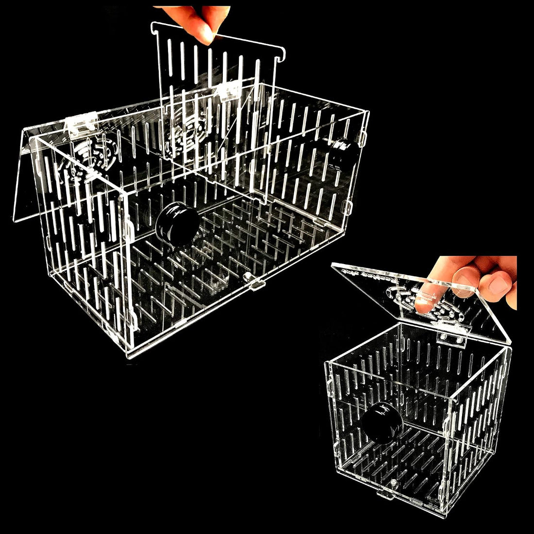 Magnetic Acclimation Box Fish Breeder Nursery Isolation Tank
