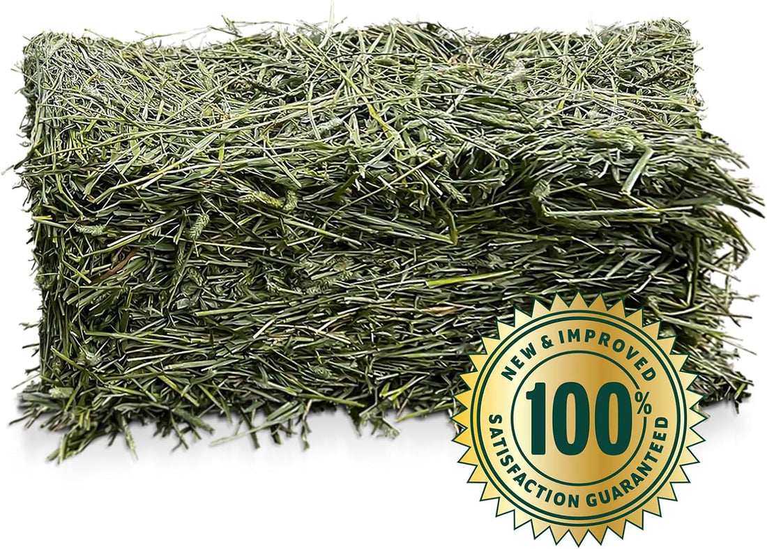 Eaton Pet and Pasture Naturally Grown, Premium, 1st Cut Blend