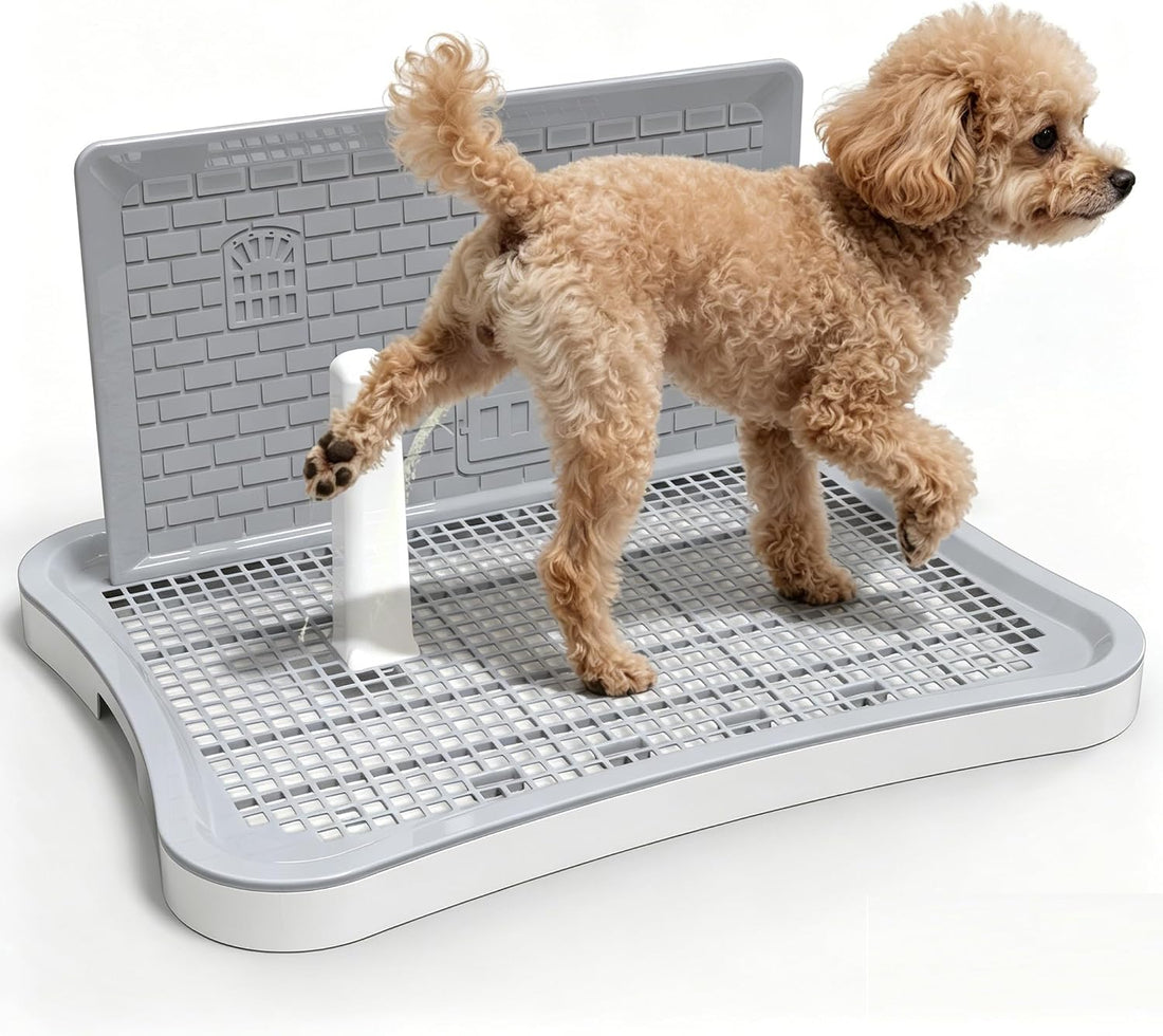Pee Pad Holder for Dogs and Puppies, Dog Potty for Small Dogs