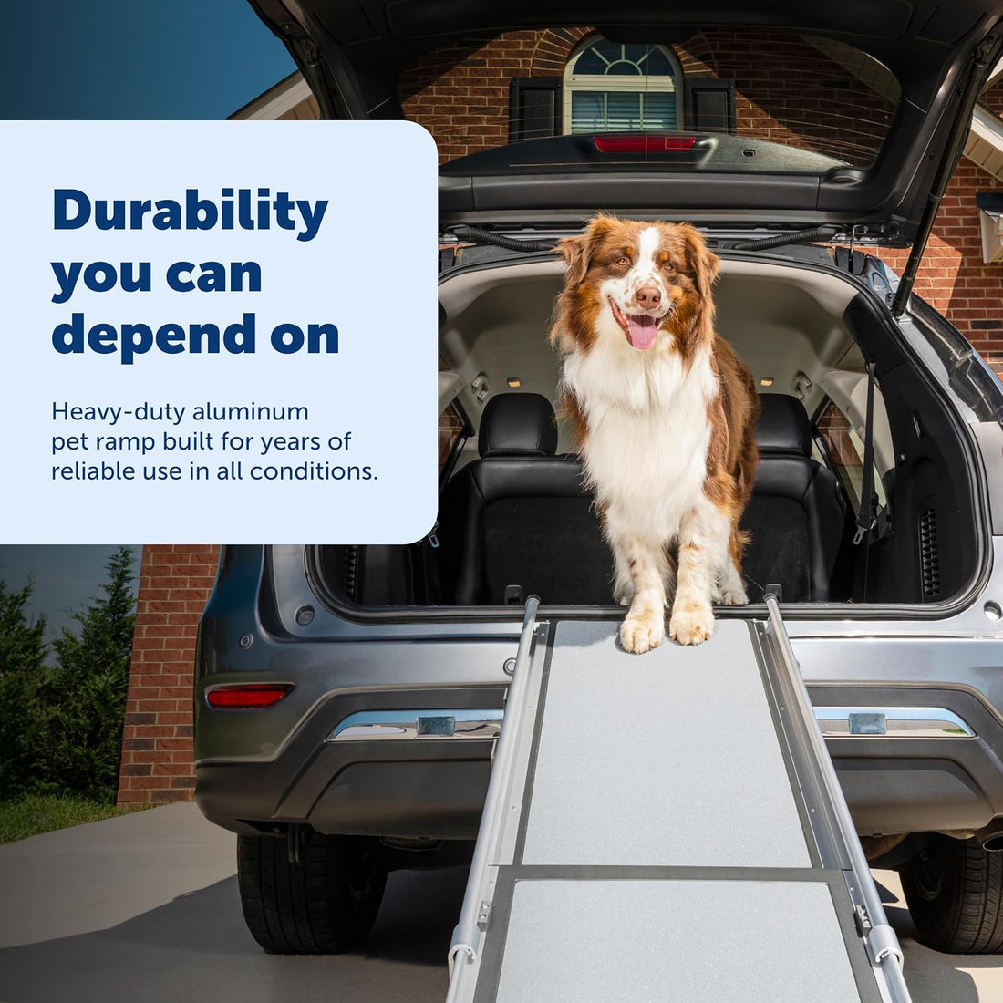 PetSafe Happy Ride Extra Long Telescoping Dog Ramp