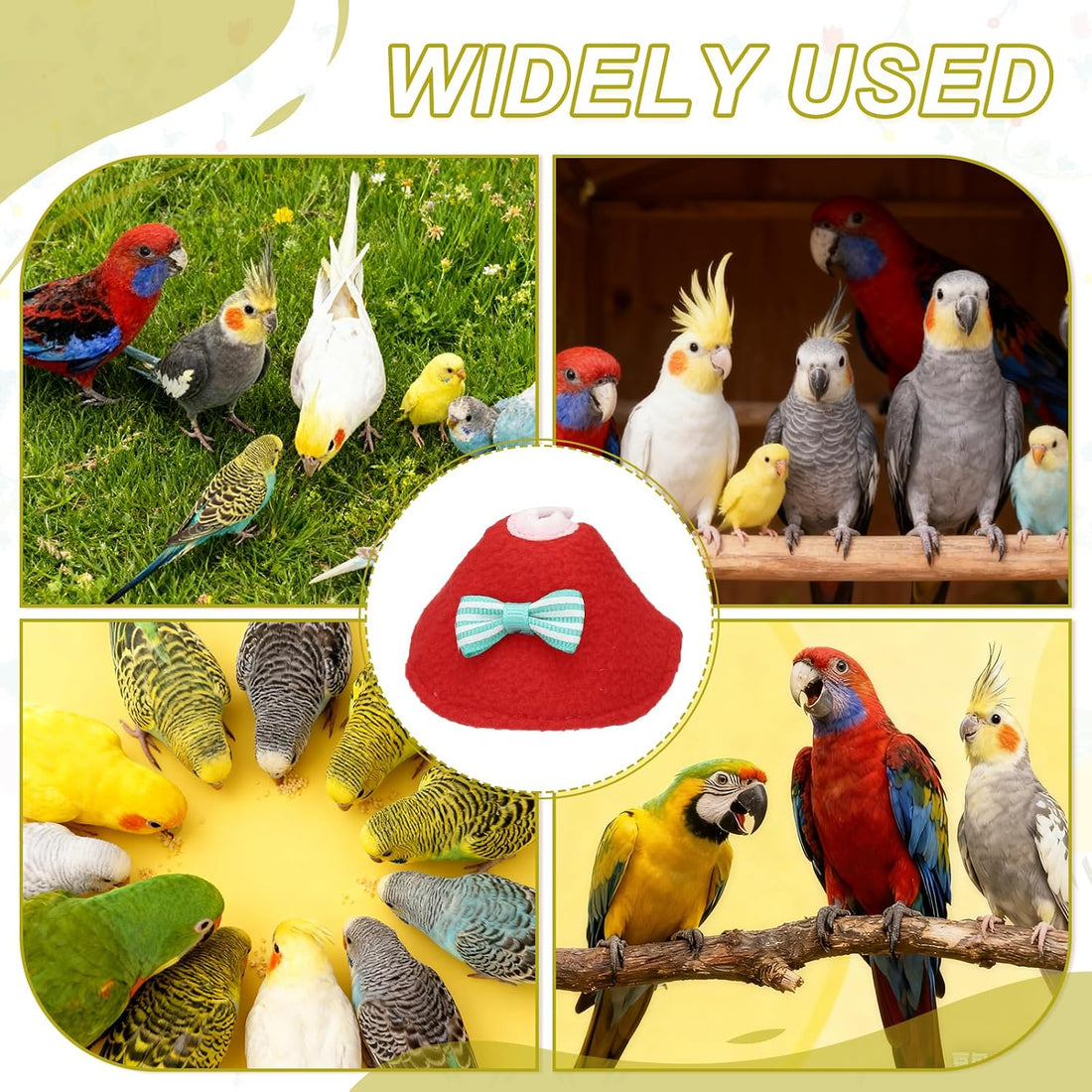 Bird Collars Protective Recovery Cones Green L 3Pcs
