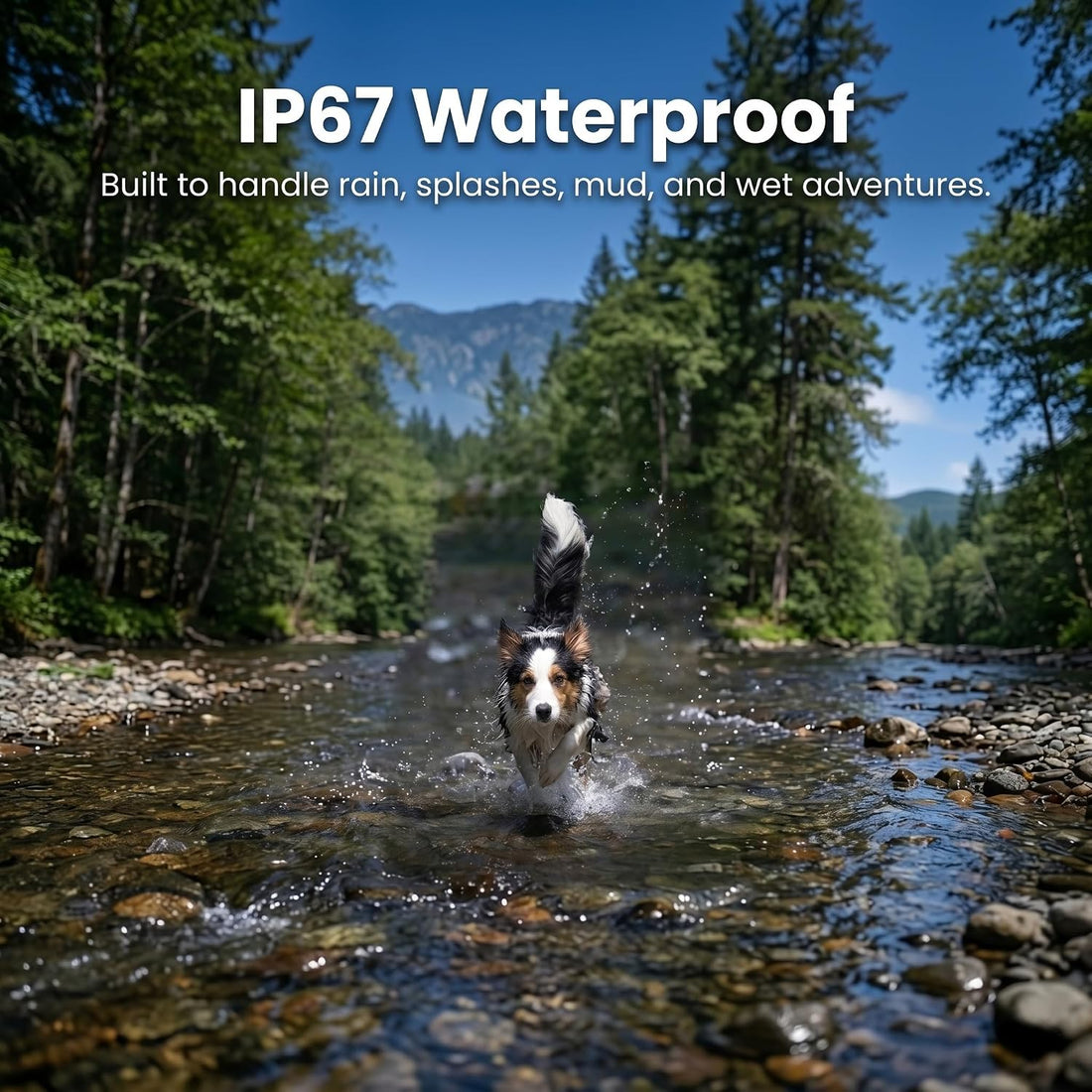 Dog GPS Tracker No Subscription, Off-Grid, Up to 3 Mile Long Range