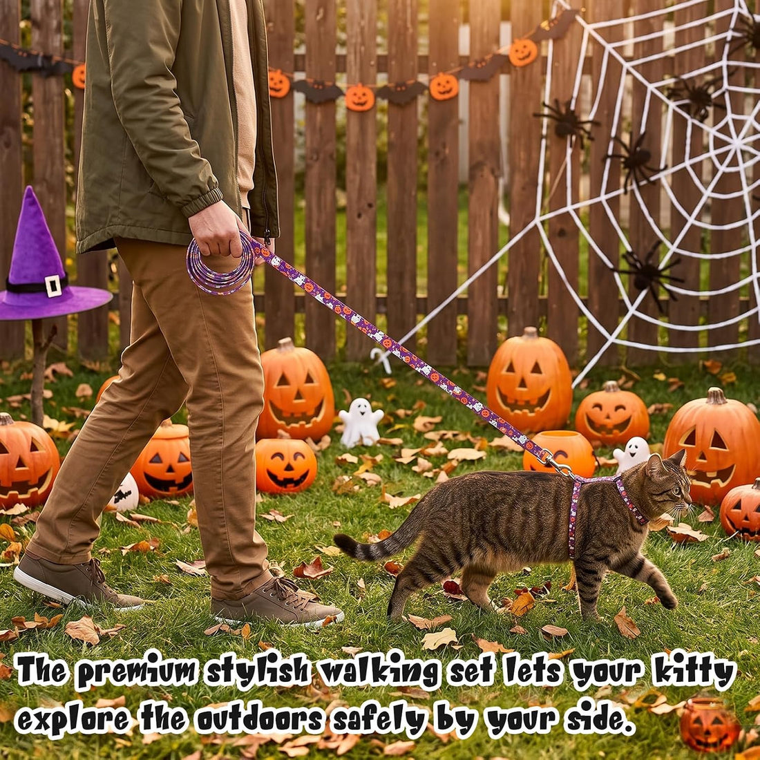 2 Pack Halloween Cat Harness and Leash Breakaway Cat Collars with Bow