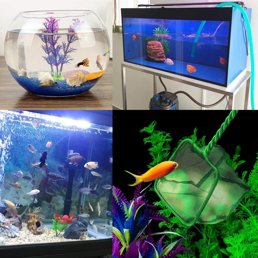 Aquarium Fish Nets, DSSPORT 4 Inch Small Mesh Fish Catch Nets