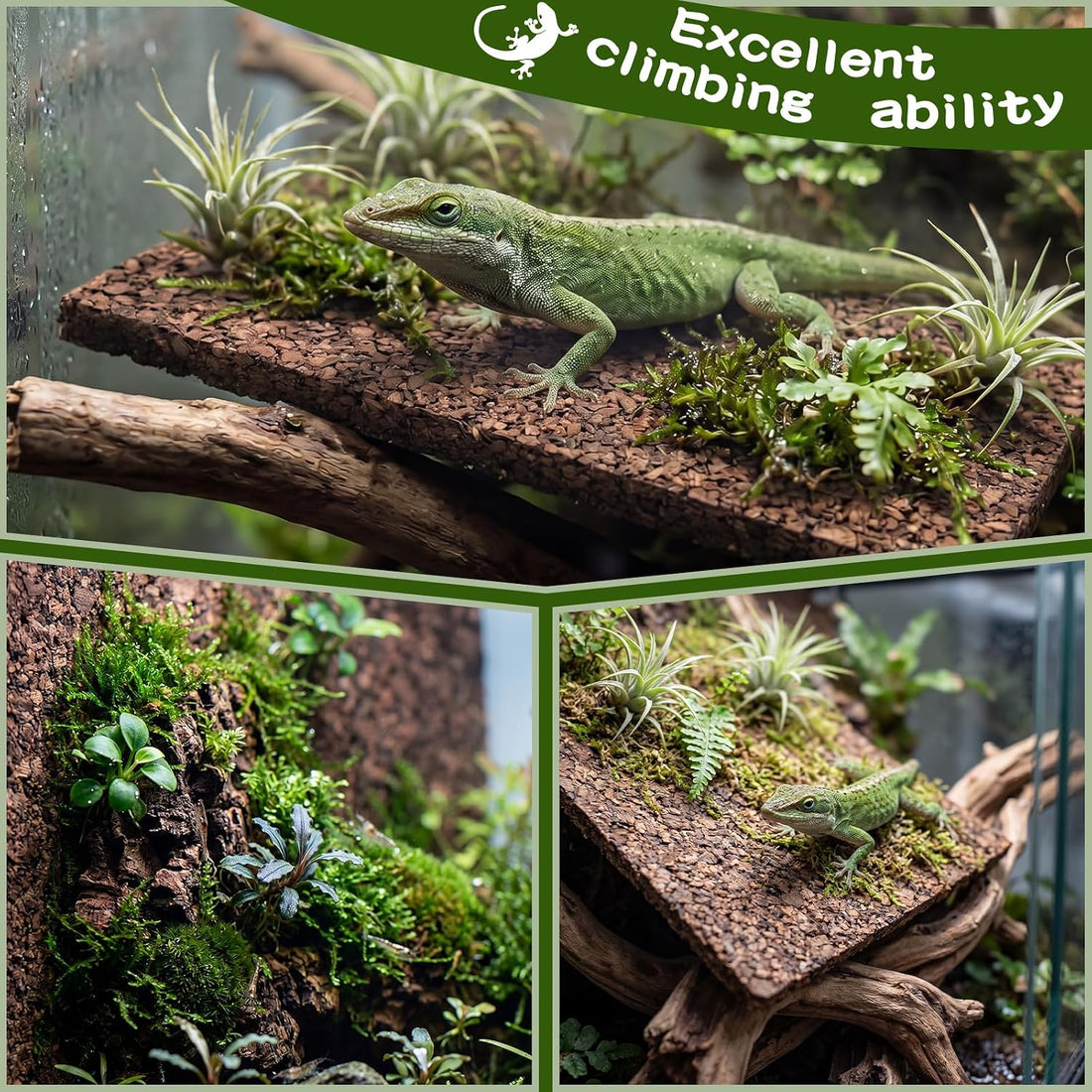 4 Pack Cork Terrarium Background, Natural Bark Climb Mat